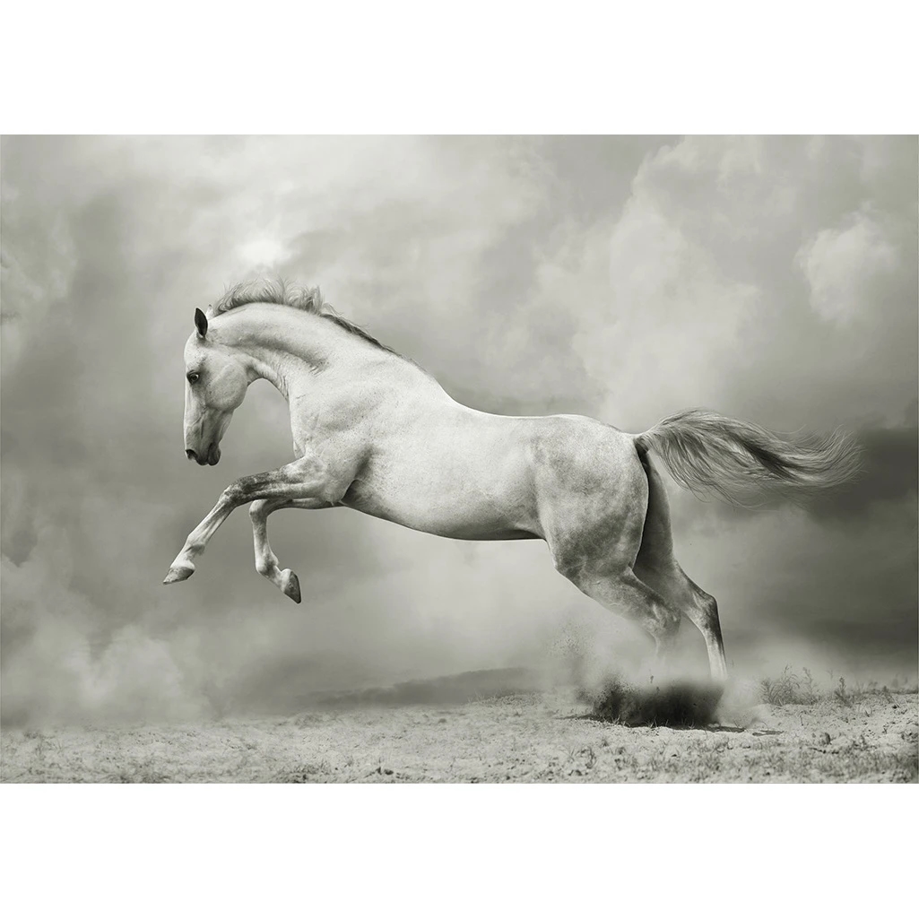 White Horse - Decoupage Papier