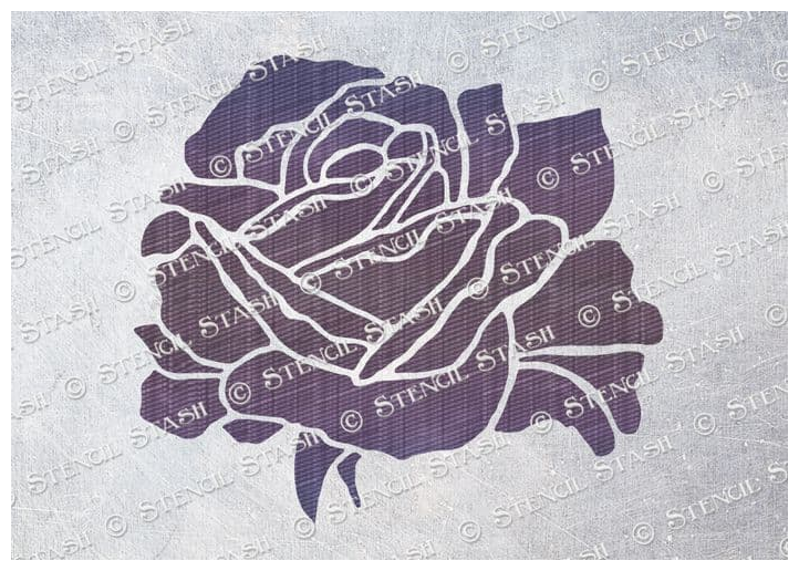 Single Rose