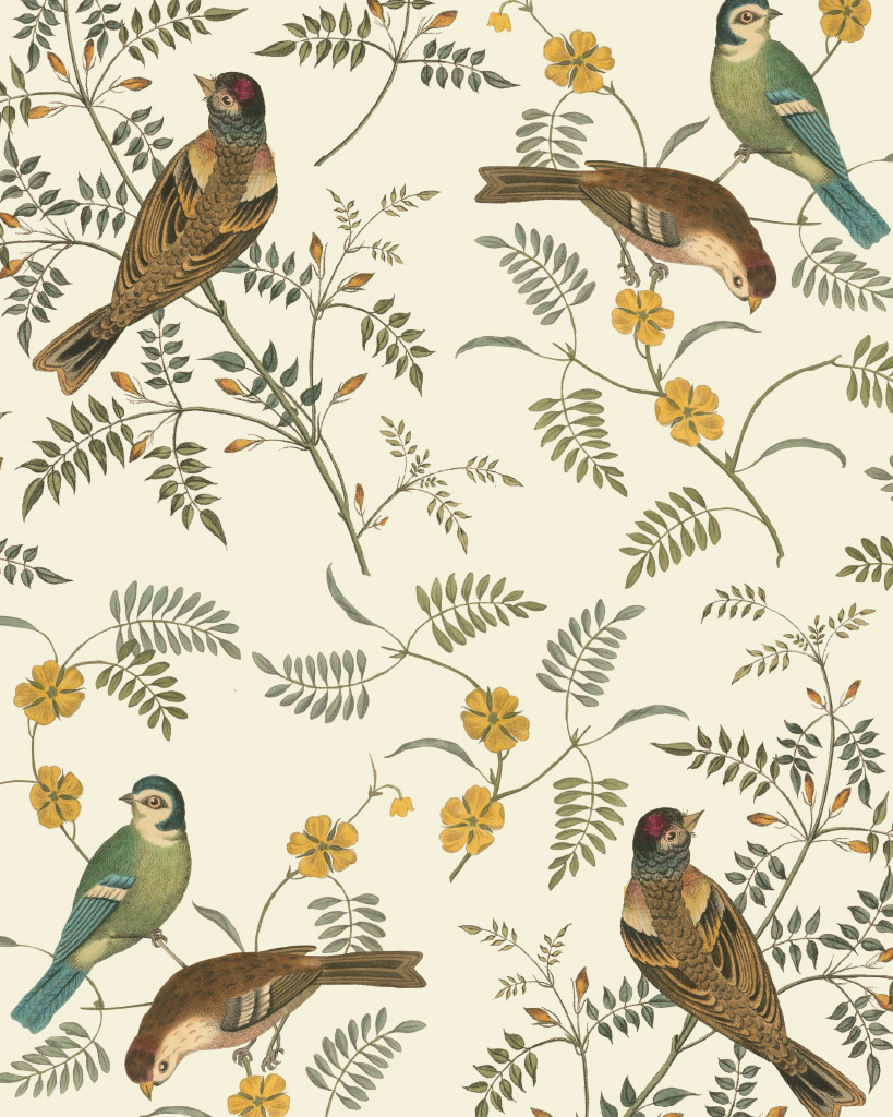 'Songbirds' - RHS Decoupagepapier