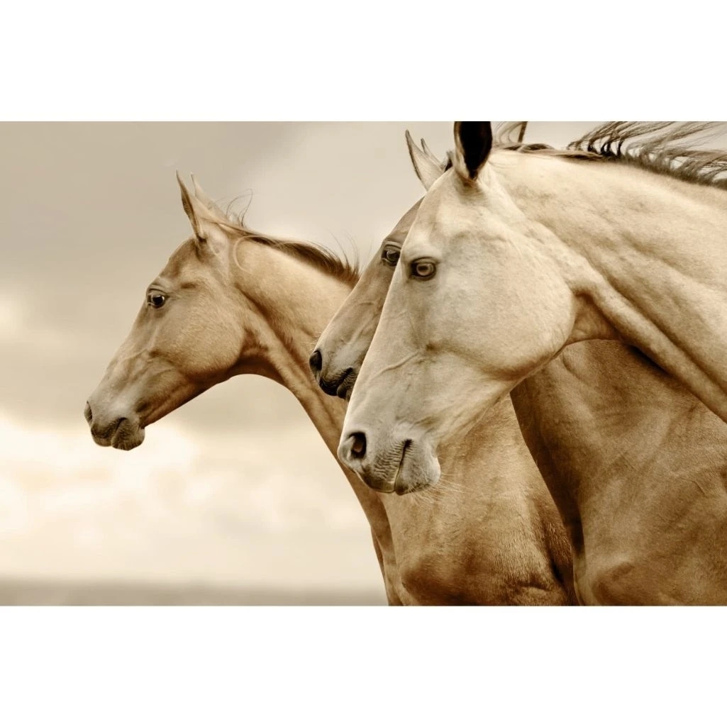 Reversed Sepia Horses - Decoupage Papier