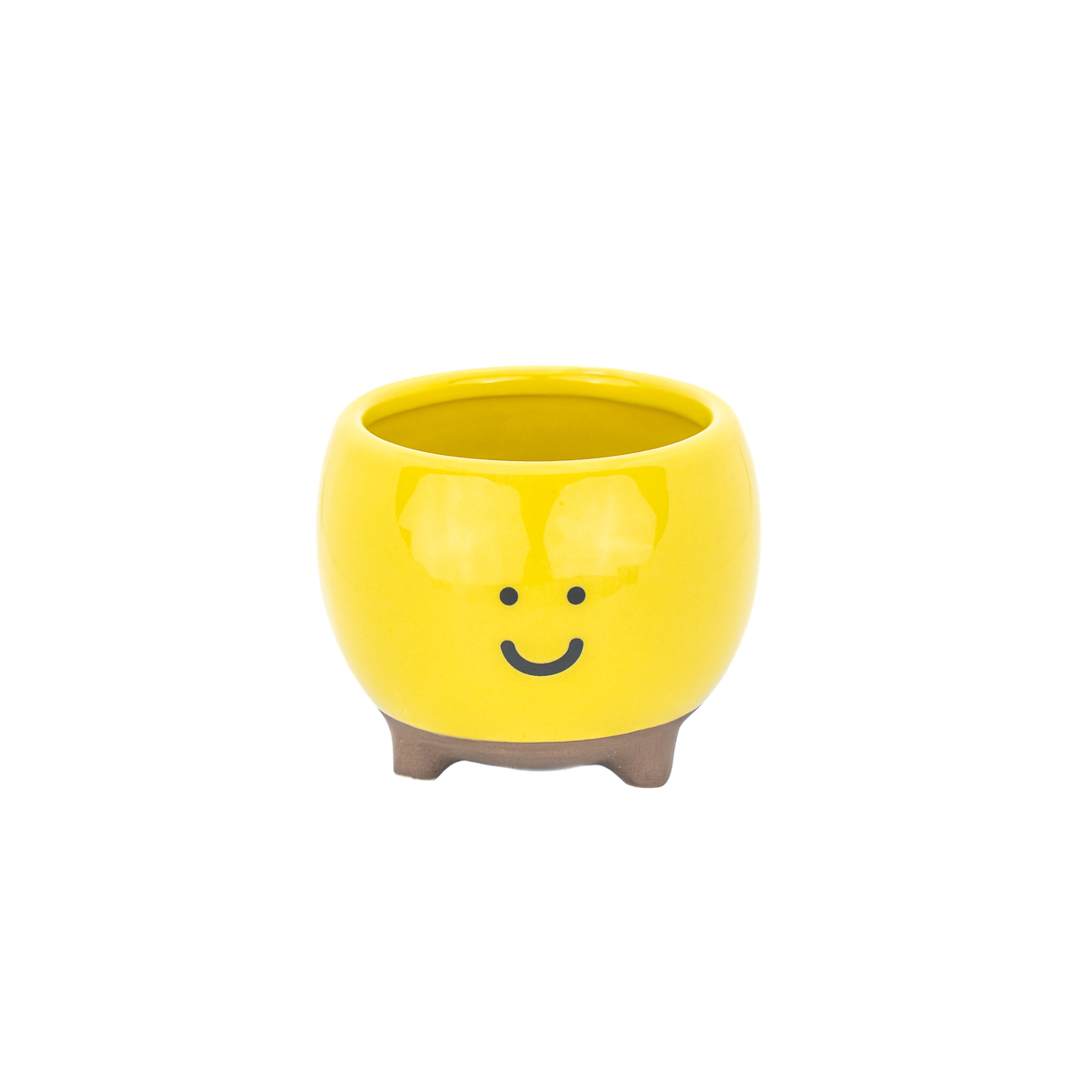 Smiley Blumentopf