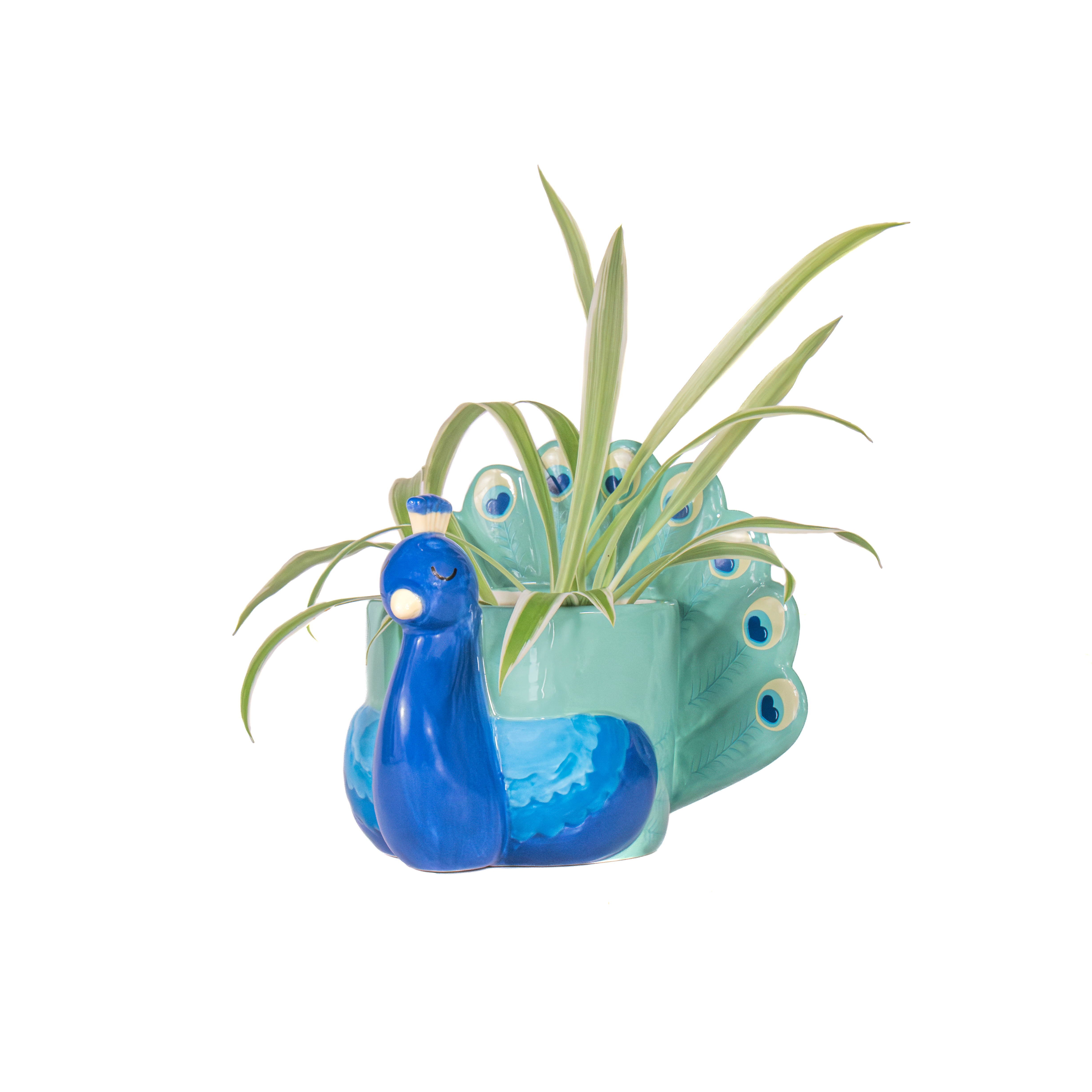 Pfau Mini Blumentopf
