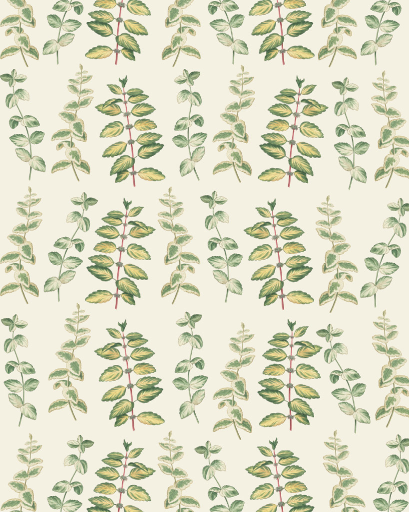 'Mint' - RHS Decoupagepapier
